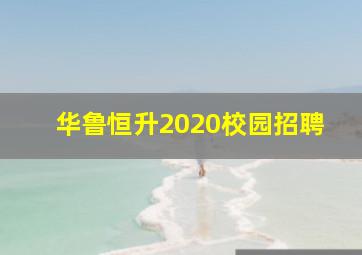 华鲁恒升2020校园招聘