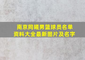 南京同曦男篮球员名单资料大全最新图片及名字