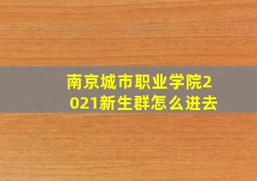 南京城市职业学院2021新生群怎么进去