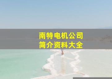 南特电机公司简介资料大全