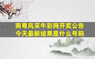 南粤风采牛彩网开奖公告今天最新结果是什么号码