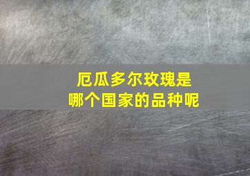 厄瓜多尔玫瑰是哪个国家的品种呢