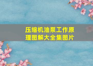 压缩机油泵工作原理图解大全集图片