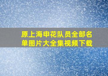 原上海申花队员全部名单图片大全集视频下载