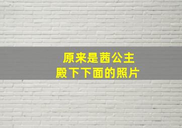 原来是茜公主殿下下面的照片