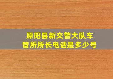 原阳县新交警大队车管所所长电话是多少号