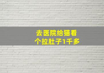 去医院给猫看个拉肚子1千多