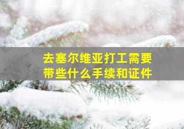 去塞尔维亚打工需要带些什么手续和证件