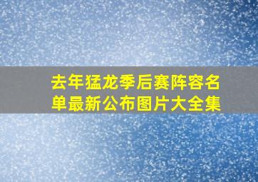 去年猛龙季后赛阵容名单最新公布图片大全集