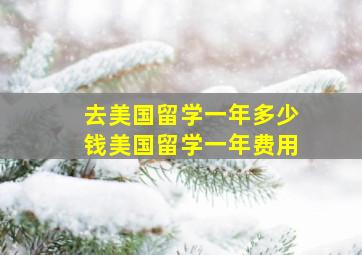 去美国留学一年多少钱美国留学一年费用