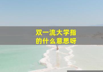 双一流大学指的什么意思呀