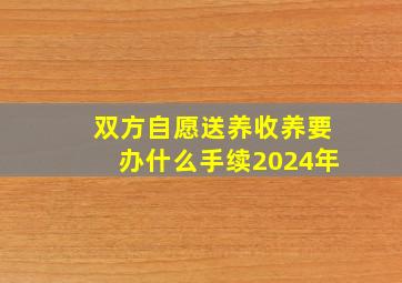 双方自愿送养收养要办什么手续2024年