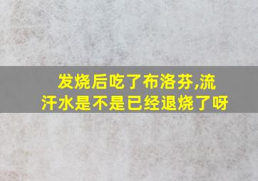 发烧后吃了布洛芬,流汗水是不是已经退烧了呀