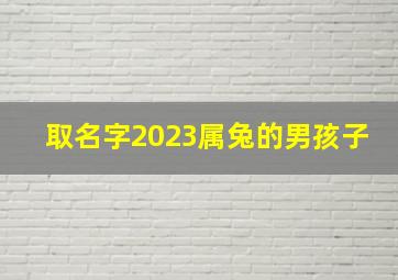 取名字2023属兔的男孩子