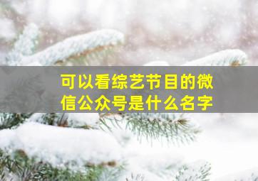 可以看综艺节目的微信公众号是什么名字