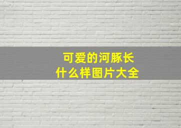 可爱的河豚长什么样图片大全