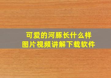 可爱的河豚长什么样图片视频讲解下载软件