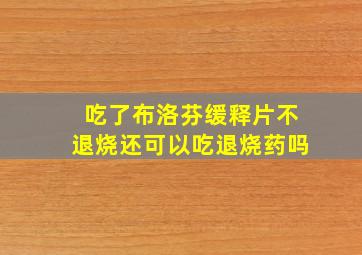 吃了布洛芬缓释片不退烧还可以吃退烧药吗