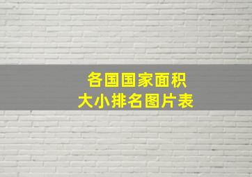 各国国家面积大小排名图片表