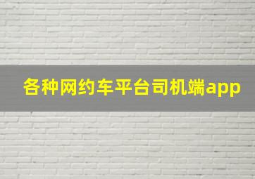 各种网约车平台司机端app