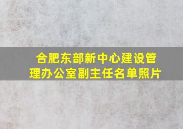 合肥东部新中心建设管理办公室副主任名单照片