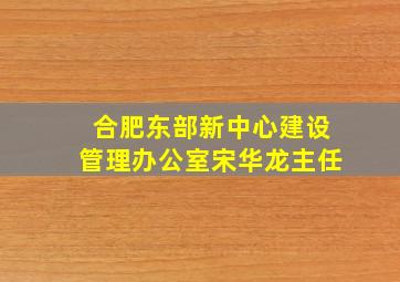 合肥东部新中心建设管理办公室宋华龙主任