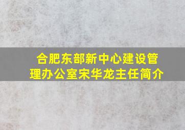 合肥东部新中心建设管理办公室宋华龙主任简介