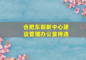 合肥东部新中心建设管理办公室待遇