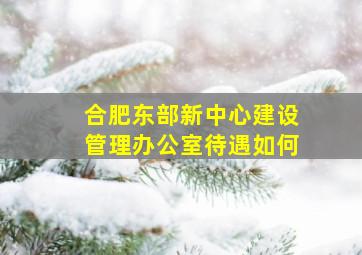 合肥东部新中心建设管理办公室待遇如何