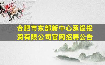 合肥市东部新中心建设投资有限公司官网招聘公告