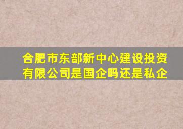 合肥市东部新中心建设投资有限公司是国企吗还是私企