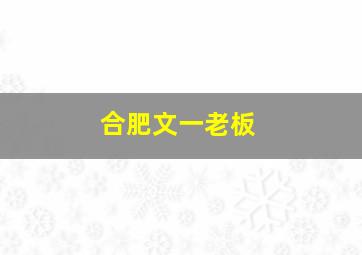 合肥文一老板