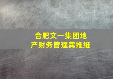 合肥文一集团地产财务管理龚维维