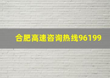 合肥高速咨询热线96199