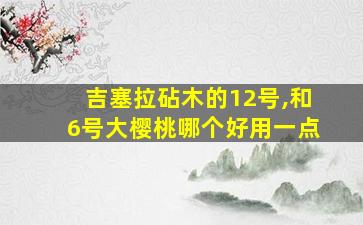 吉塞拉砧木的12号,和6号大樱桃哪个好用一点