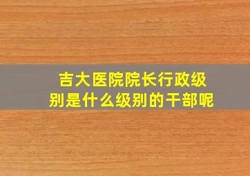 吉大医院院长行政级别是什么级别的干部呢