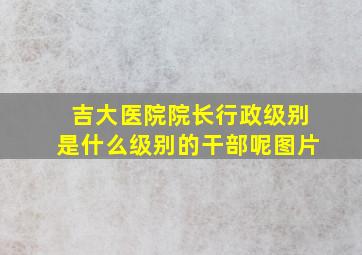 吉大医院院长行政级别是什么级别的干部呢图片