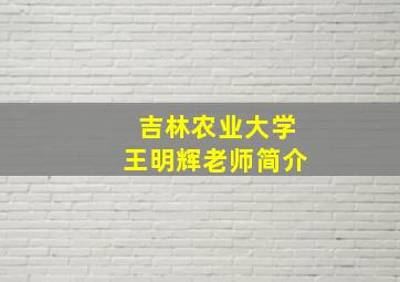 吉林农业大学王明辉老师简介