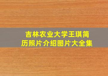 吉林农业大学王琪简历照片介绍图片大全集