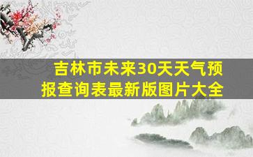 吉林市未来30天天气预报查询表最新版图片大全