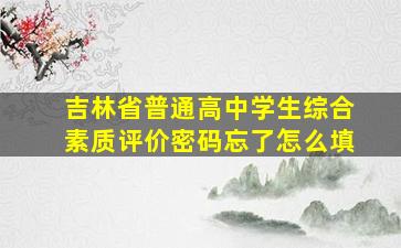 吉林省普通高中学生综合素质评价密码忘了怎么填