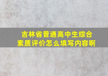 吉林省普通高中生综合素质评价怎么填写内容啊