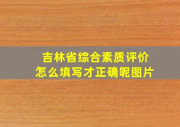 吉林省综合素质评价怎么填写才正确呢图片