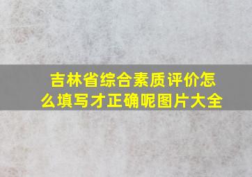 吉林省综合素质评价怎么填写才正确呢图片大全