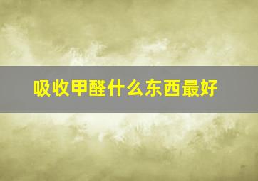 吸收甲醛什么东西最好