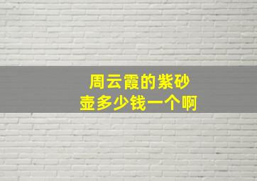 周云霞的紫砂壶多少钱一个啊