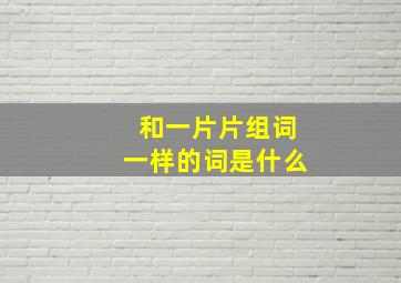 和一片片组词一样的词是什么