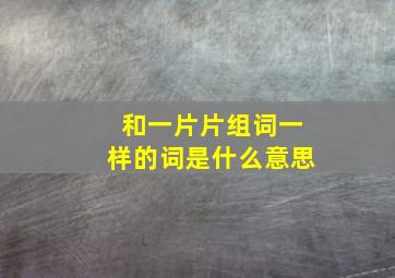 和一片片组词一样的词是什么意思