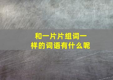 和一片片组词一样的词语有什么呢