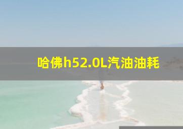 哈佛h52.0L汽油油耗